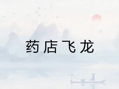 药店飞龙