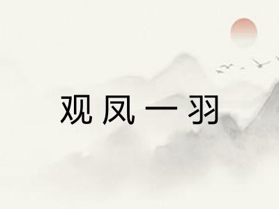 观凤一羽