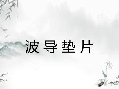 波导垫片