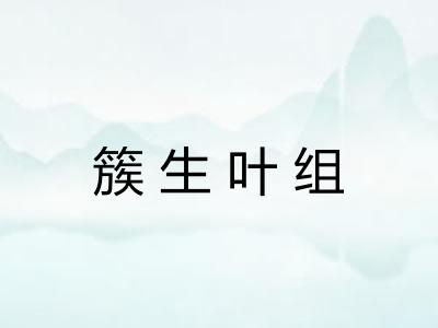 簇生叶组