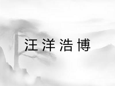 汪洋浩博