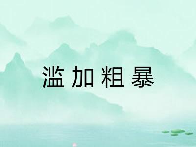 滥加粗暴