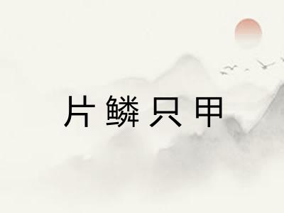 片鳞只甲