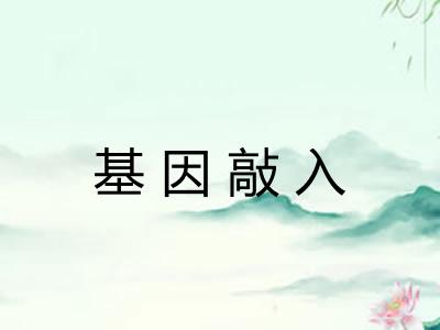 基因敲入