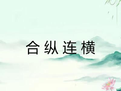 合纵连横