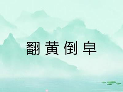 翻黄倒皁