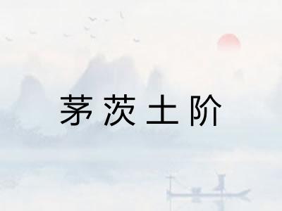 茅茨土阶