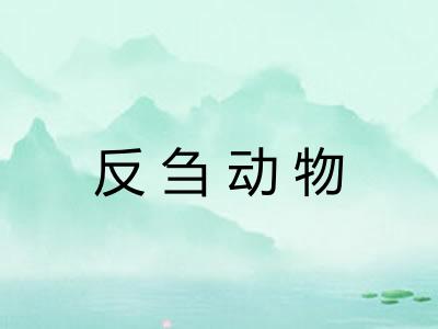 反刍动物