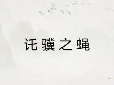 讬骥之蝇