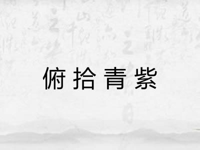 俯拾青紫
