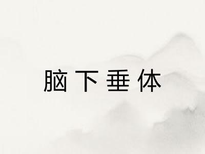 脑下垂体