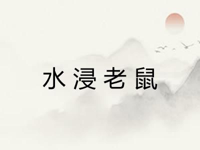 水浸老鼠