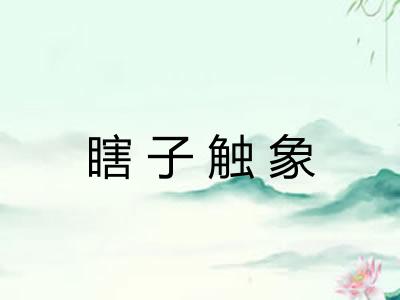瞎子触象