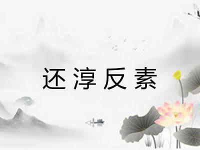 还淳反素