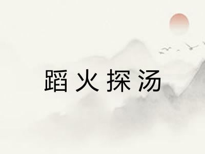 蹈火探汤