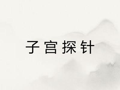 子宫探针