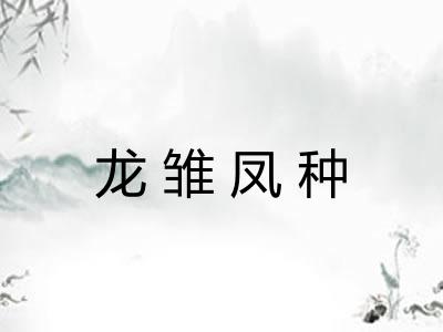 龙雏凤种