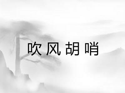 吹风胡哨