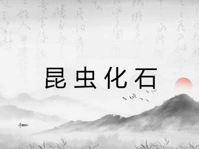 昆虫化石