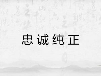 忠诚纯正