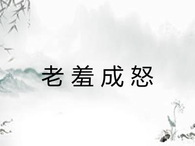 老羞成怒
