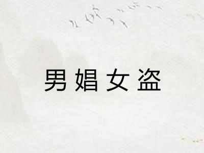 男娼女盗
