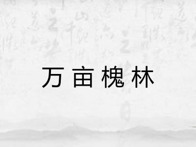 万亩槐林