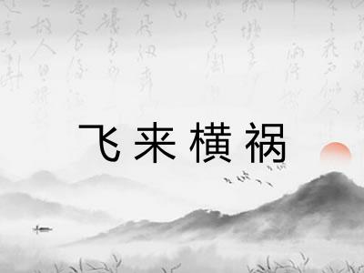 飞来横祸 飞来横祸