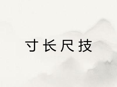 寸长尺技
