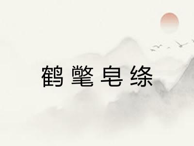 鹤氅皂绦