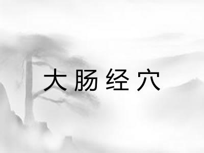 大肠经穴 大肠经穴