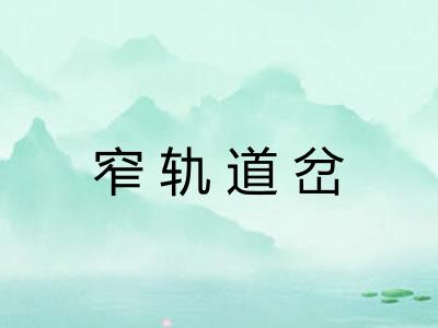 窄轨道岔