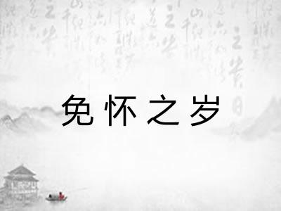 免怀之岁