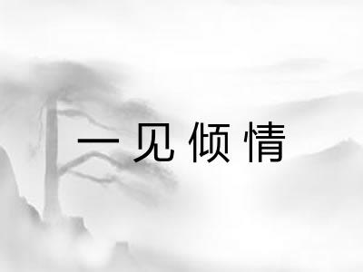 一见倾情