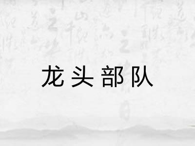 龙头部队