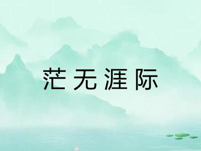 茫无涯际