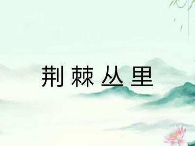 荆棘丛里