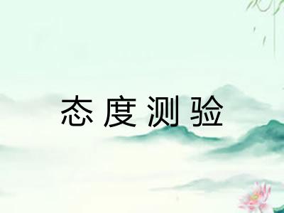 态度测验