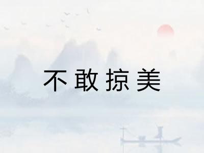 不敢掠美