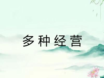 多种经营