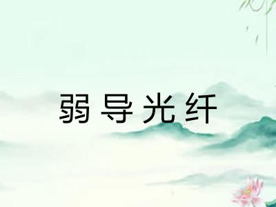 弱导光纤