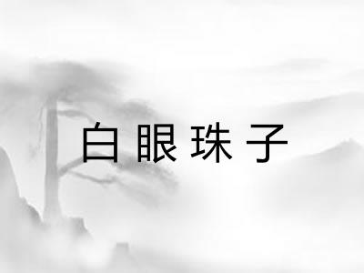 白眼珠子