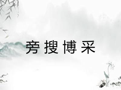 旁搜博采
