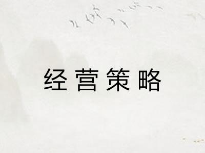 经营策略
