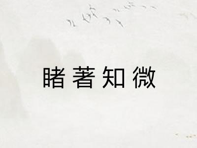 睹著知微