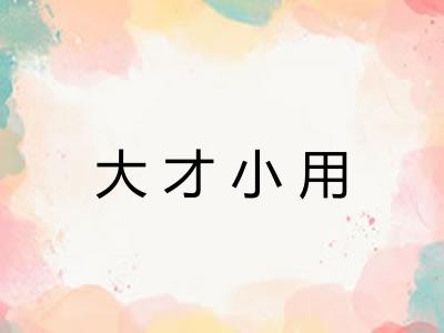 大才小用