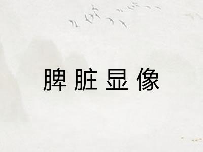 脾脏显像