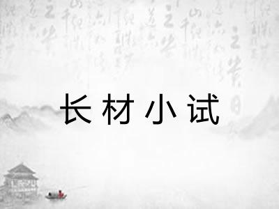 长材小试