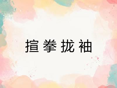揎拳拢袖