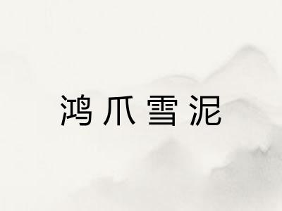 鸿爪雪泥